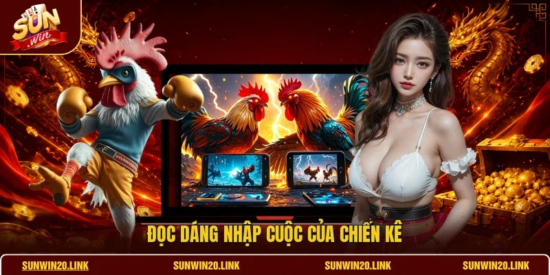 Đọc dáng nhập cuộc của chiến kê