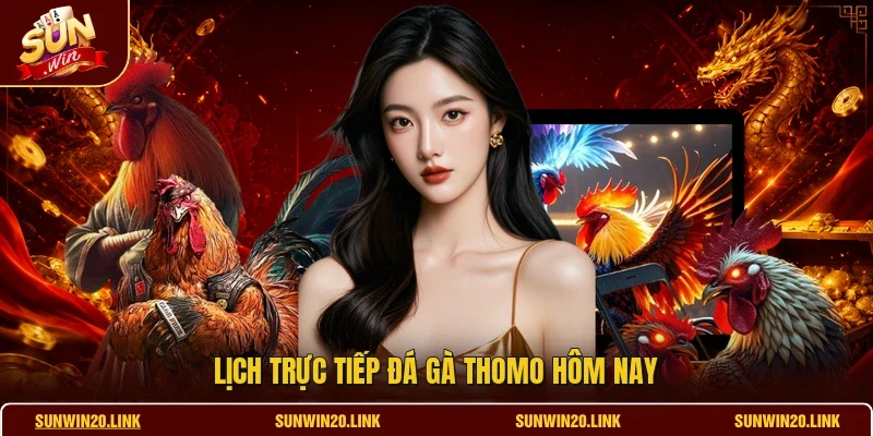 Lịch trực tiếp đá gà Thomo hôm nay